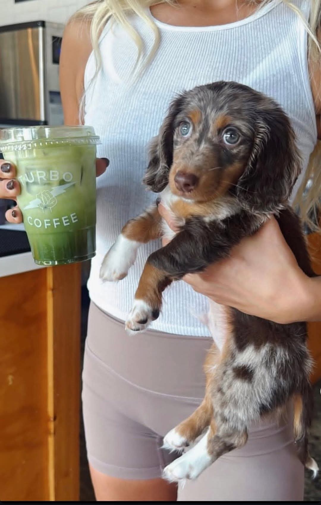 Happy family with dachshund